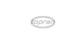 VW PASSAT "362" 8/10- tesniaci krúžok skrutky chladiča /TOPRAN/