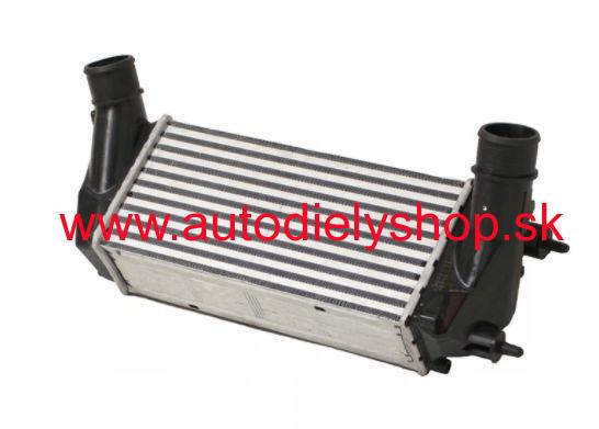 Ford B-MAX 10/2012- chladič vzduchu / INTERCOOLER / 1,0 Ecoboos