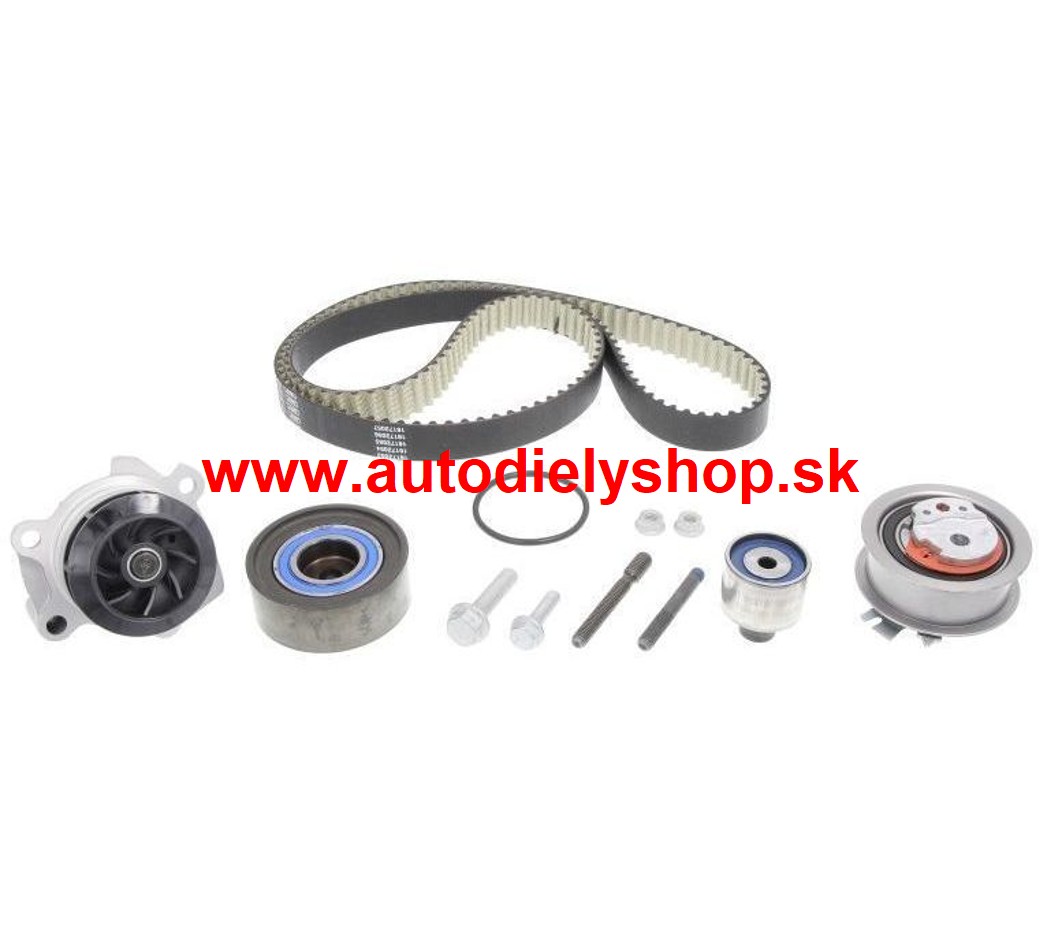 Seat EXEO 12/08- Rozvodová sada SKF 2,0TDi-2,0TDi /88-105KW/