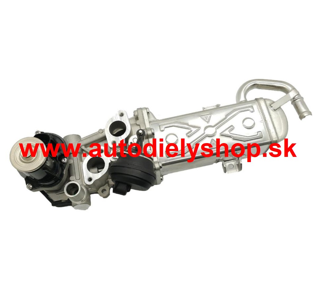 Seat ALHAMBRA 06/10- EGR ventil pre 2,0TDI