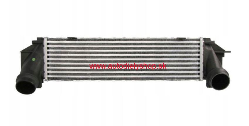 BMW 5 F10, F11 3/2010- Chladič vzduchu /INTERCOOLER/ - 520i