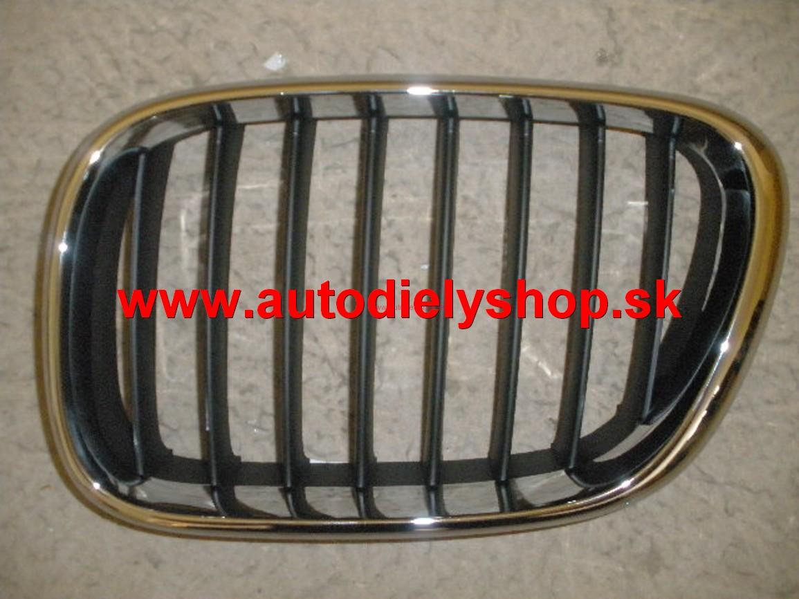  BMW X5 E53 1/00-12/03 maska ľavá 