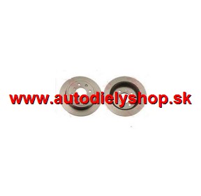 Rover 25 4/00-10/04 Zadné kotúče L+P (SAMKO)