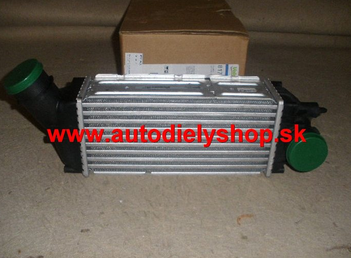 Peugeot EXPERT 1/07- chladič vzduchu /intercoolery/ 2,0HDi