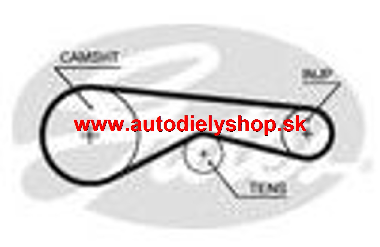 Citroen C6 09/05-rozvodový remeň