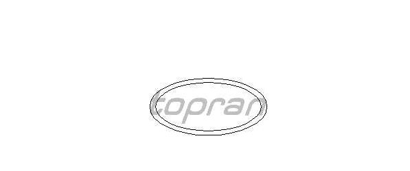 VW SHARAN 5/10- tesniaci krúžok skrutky chladiča