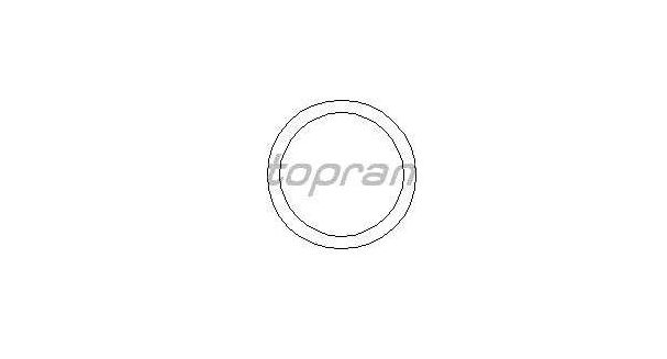 VW PASSAT "362" 8/10- tesnenie termostatu /TOPRAN/