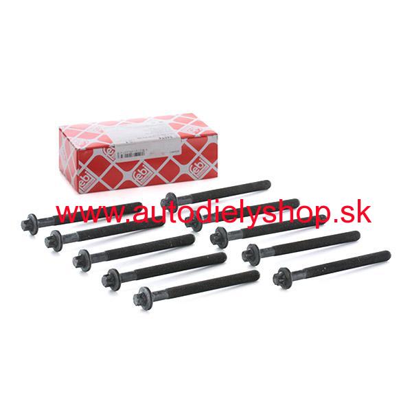 Renault CLIO 7/01-9/05 sada skrutiek hlavy valcov /FEBI BILSTEIN/