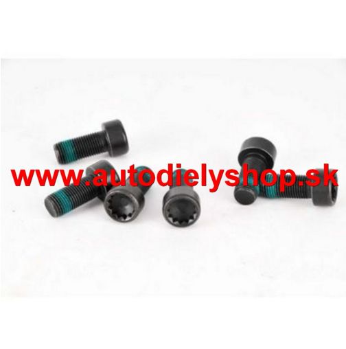 Seat ALHAMBRA 06/10- sada skrutiek zotrvačníka /LUK/