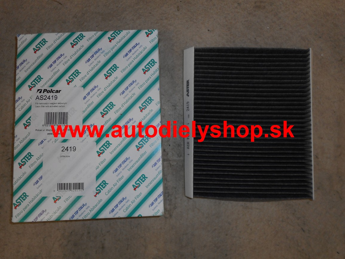 Citroen XSARA PICASSO 1/04-pelový filter,všetky motory / uhlíkový
