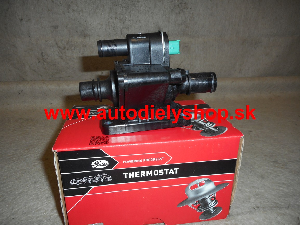 Peugeot 307 4/01-05 palivový filter 1,4HDi 
