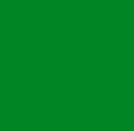 Folia v spreji,  /POWER zelená lesk/ 1 x 400ml